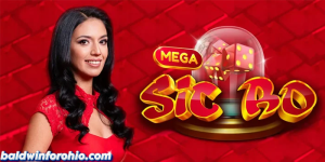 Read more about the article Panduan Lengkap Bermain Casino Online Mega Sicbo